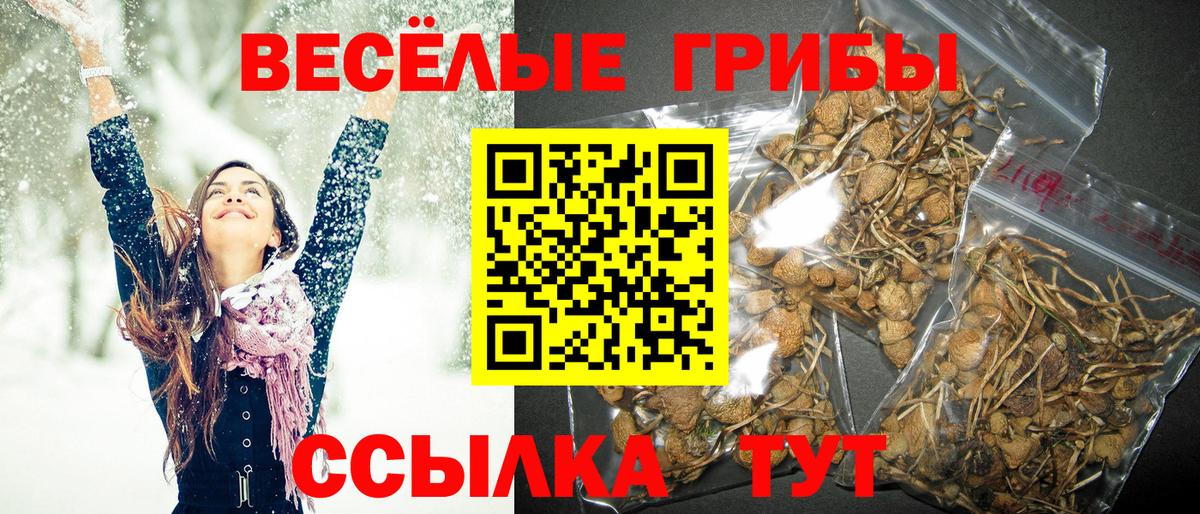 Псилоцибиновые грибы прущие грибы  Вход с VPN  Когалым 